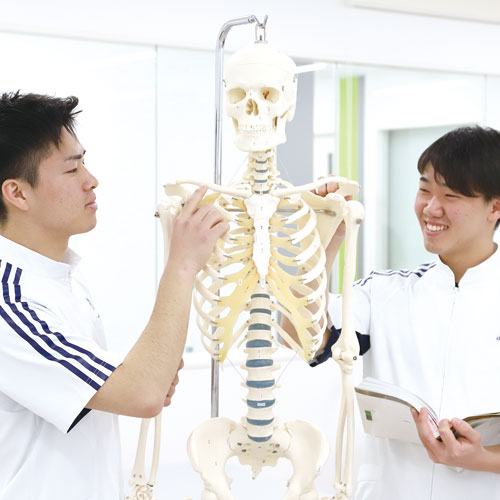 解剖学I・II・III