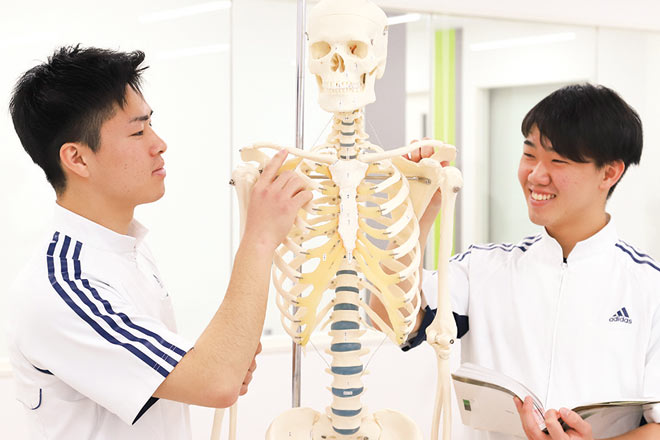 柔道整復師／スポーツトレーナー体験