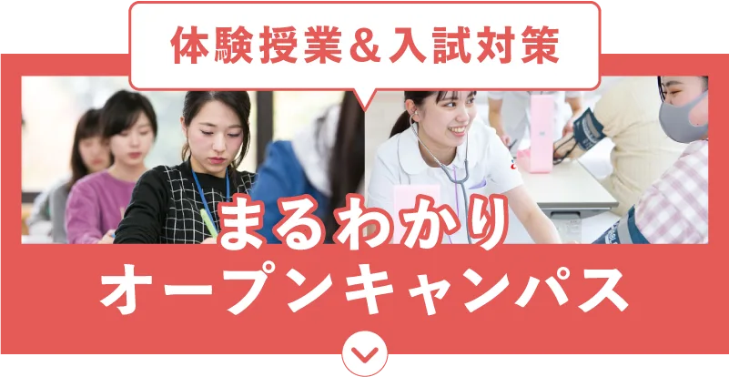 まるわかり